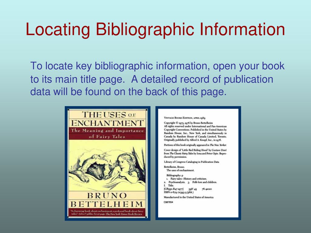 Bibliographic information 2024